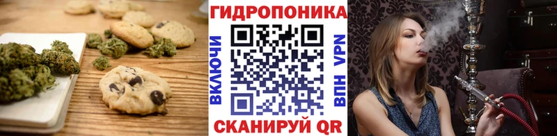 Canna-Cookies марихуана  Шарья 