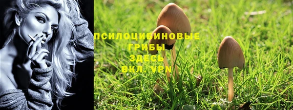 2c-b Медвежьегорск