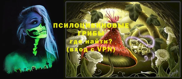 эйфоретик Алексеевка