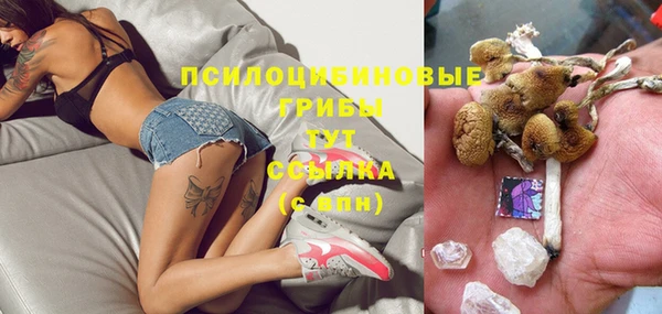 крисы Алзамай