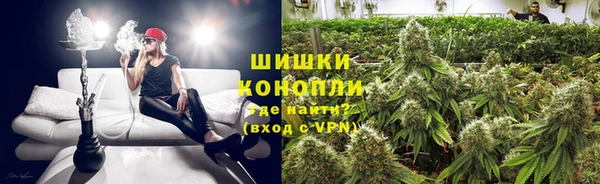 дмт Мегион
