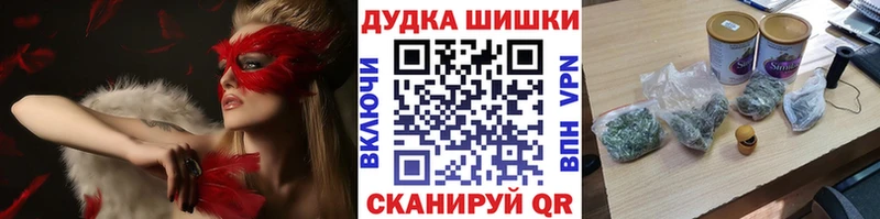 блэк спрут   Шарья  Конопля марихуана 